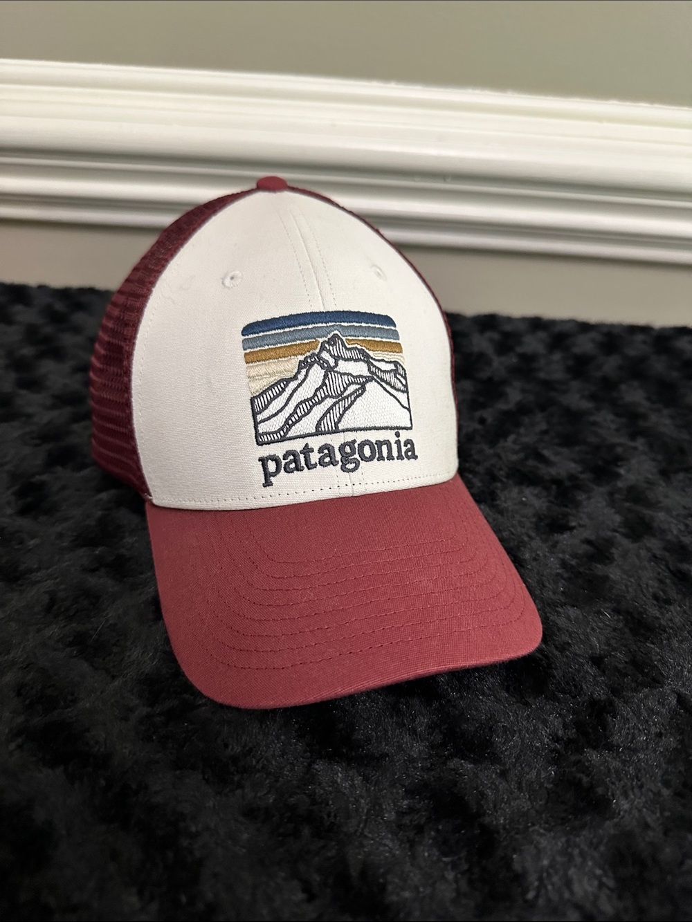 Mens Patagonia SnapBack trucker hat